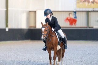 Te koop  A pony bereden, Dieren en Toebehoren, Pony's, Merrie, Met stamboom, A pony (tot 1.17m), L