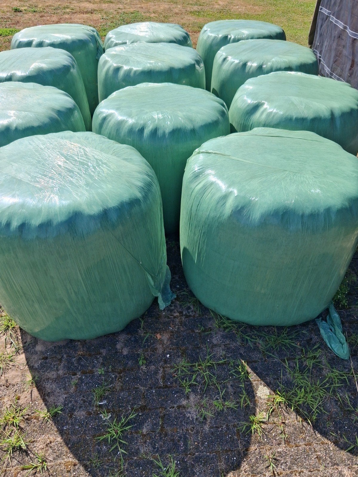 Ronde balen hooi, kleine balen, Dieren en Toebehoren, Dierenvoeding, Ophalen of Verzenden, Vee
