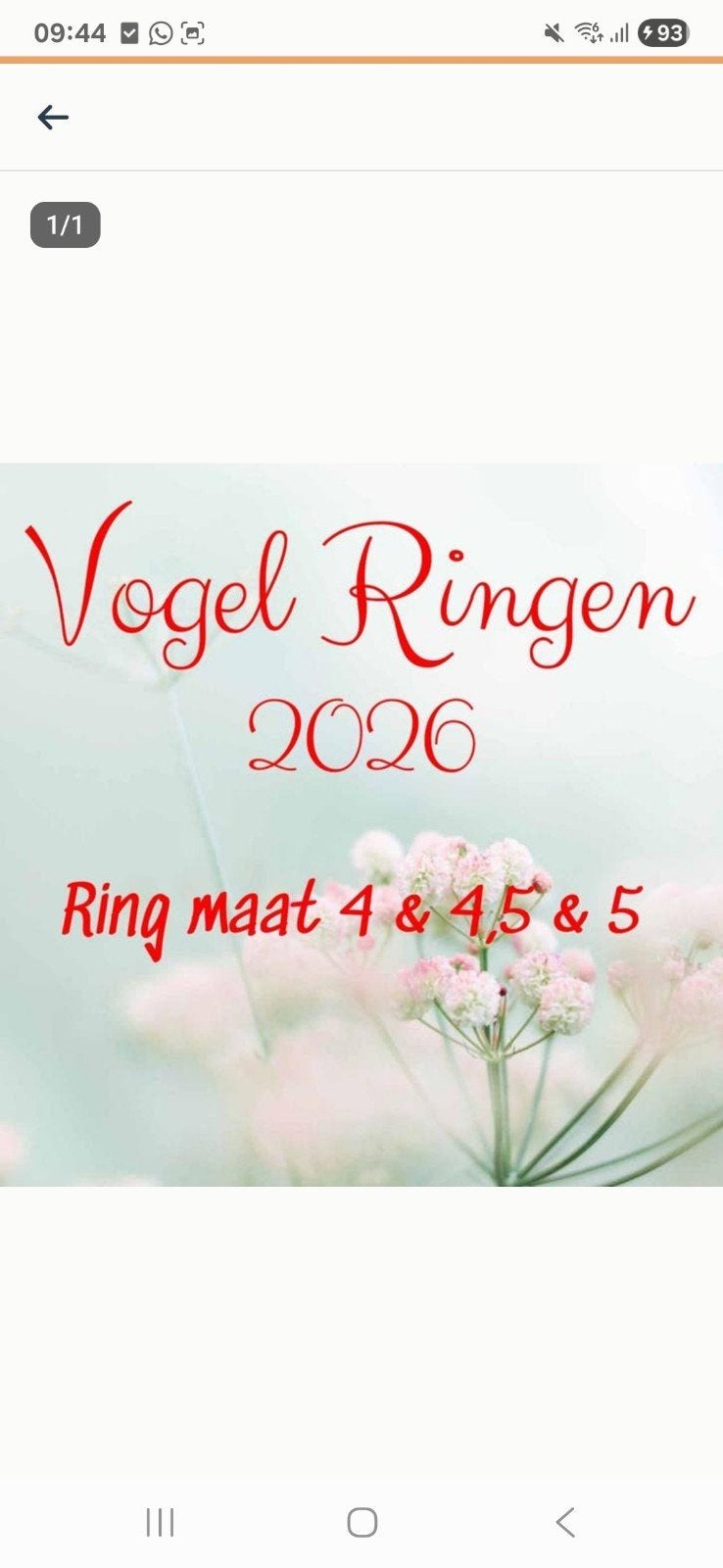 Originele vogel ring / vogelringen, Ophalen of Verzenden, Nieuw