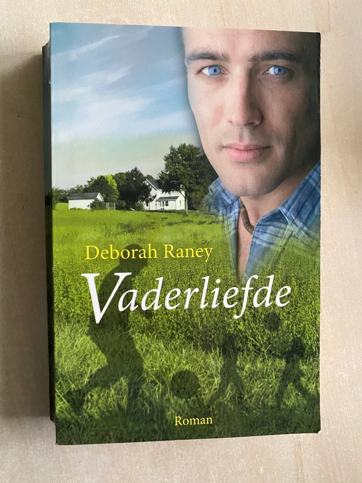Vaderliefde (Deborah Raney), Ophalen of Verzenden, Zo goed als nieuw