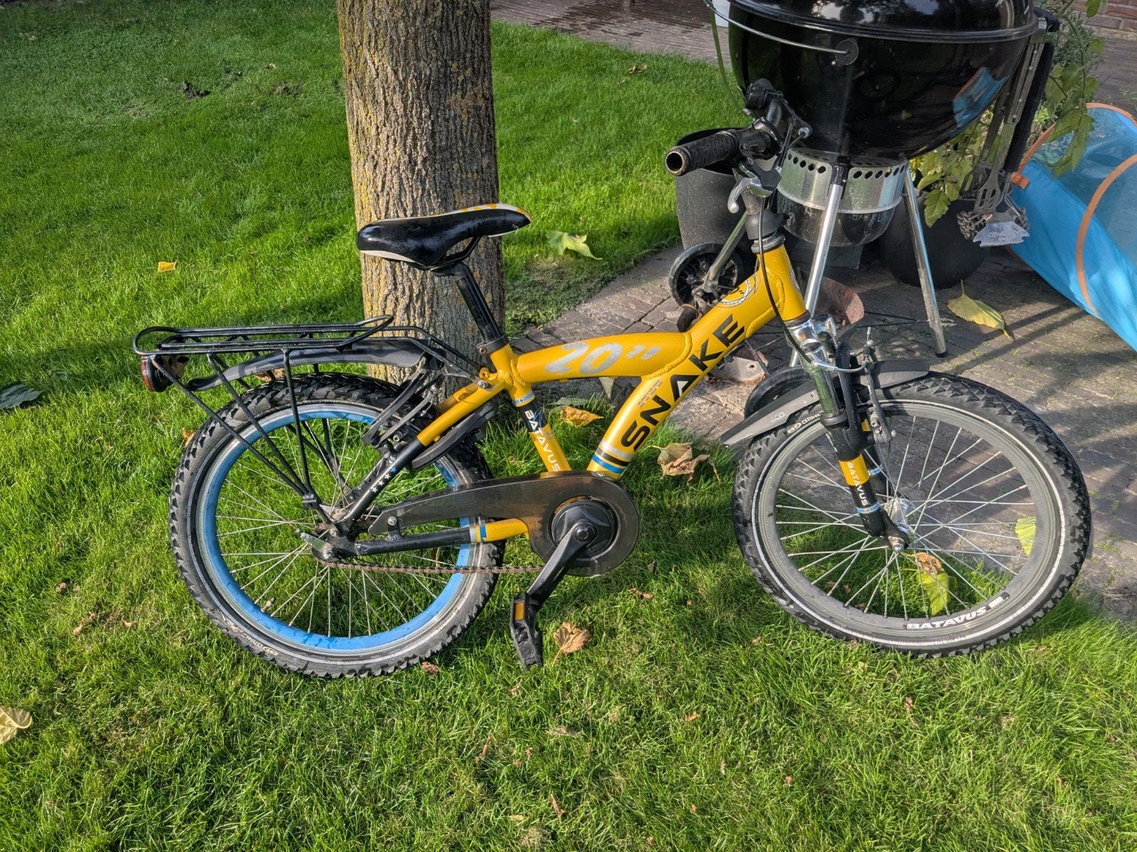 Foto 4 van Batavus Snake 20 inch jongensfiets geel
