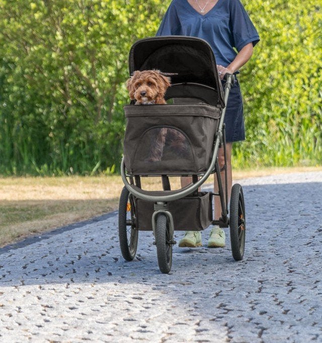 Buggy voor kat of hond dierenbuggy met 3 luchtbanden € 225,-, ., Ophalen of Verzenden, ., Nieuw
