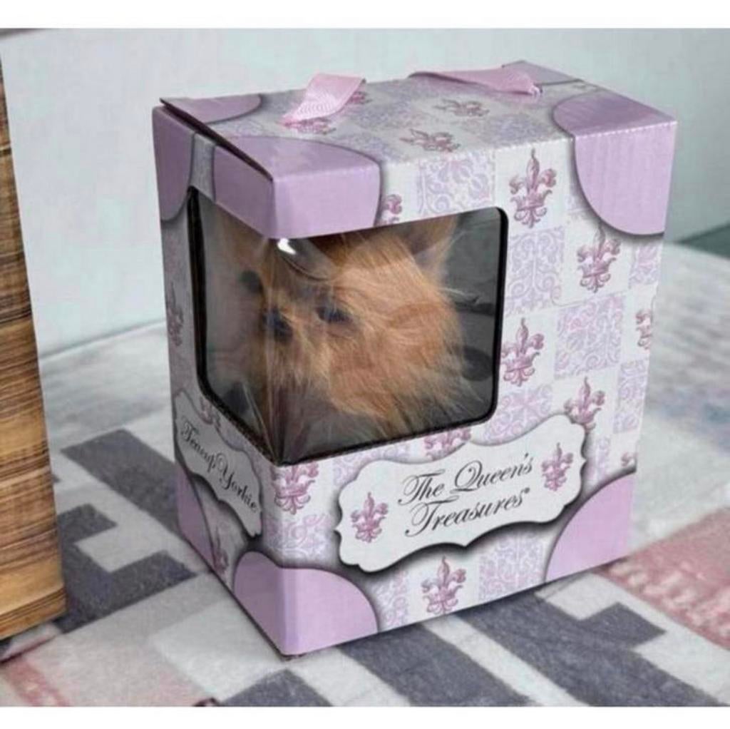3X The Queen's Treasures Adopt Me hond kat poppen - Queens, Overige typen, Nieuw, Ophalen of Verzenden, H