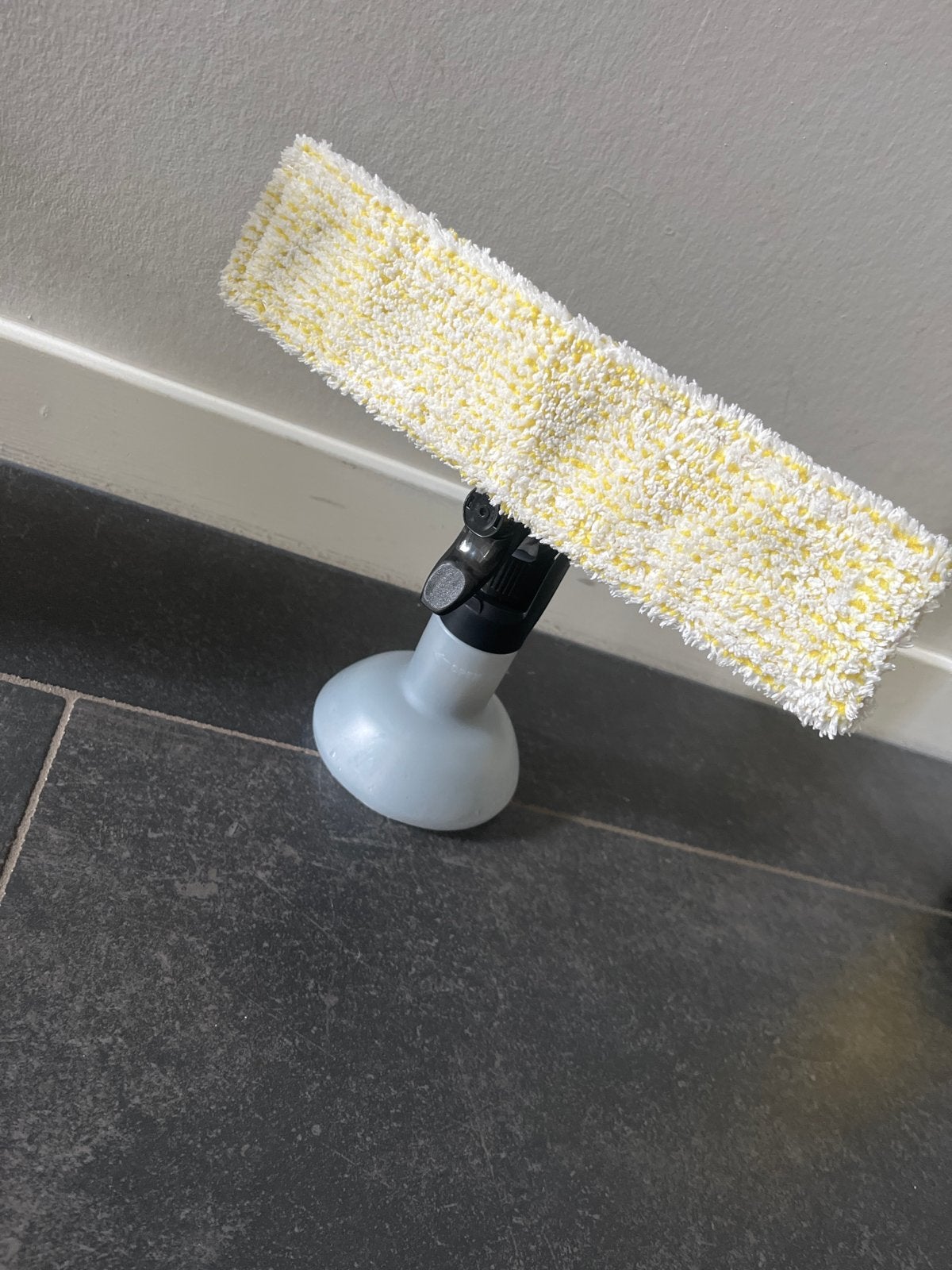 Kärcher WV 2 Plus N Window Vac - Zo goed als nieuw, Ophalen of Verzenden, Overige typen