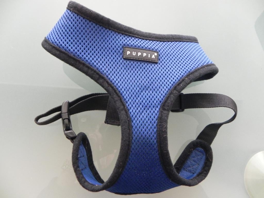 Puppia tuigje L.  blauw/ zwart, Ophalen, Zo goed als nieuw, Hondenriem-accessoire