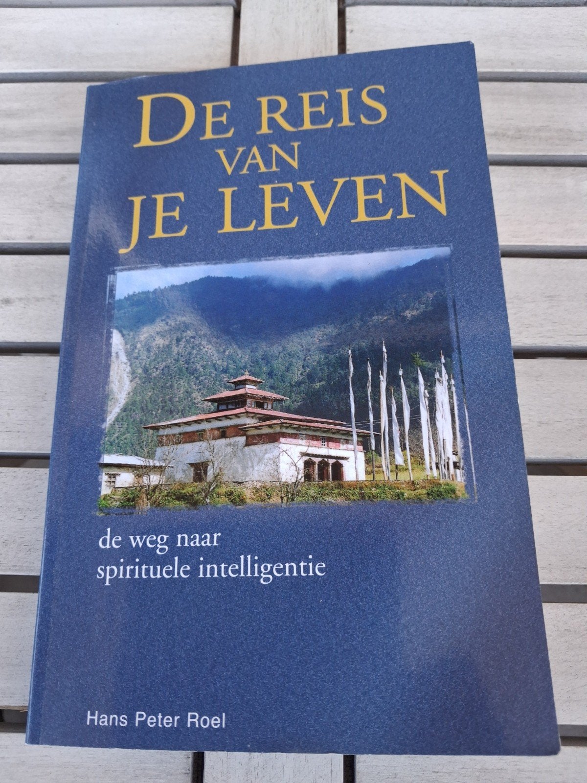 De Reis van je Leven: De weg naar spirituele intelligentie, Boeken, Ophalen of Verzenden