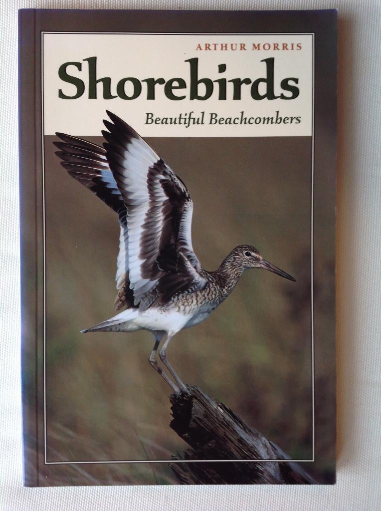 Shorebirds, Ophalen of Verzenden