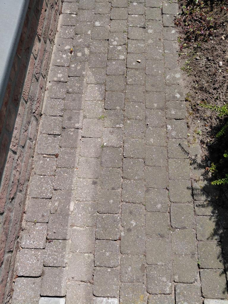 Trommelsteen 10 x 10 x 6 cm, Ophalen, Beton, 5 tot 10 m², Klinkers