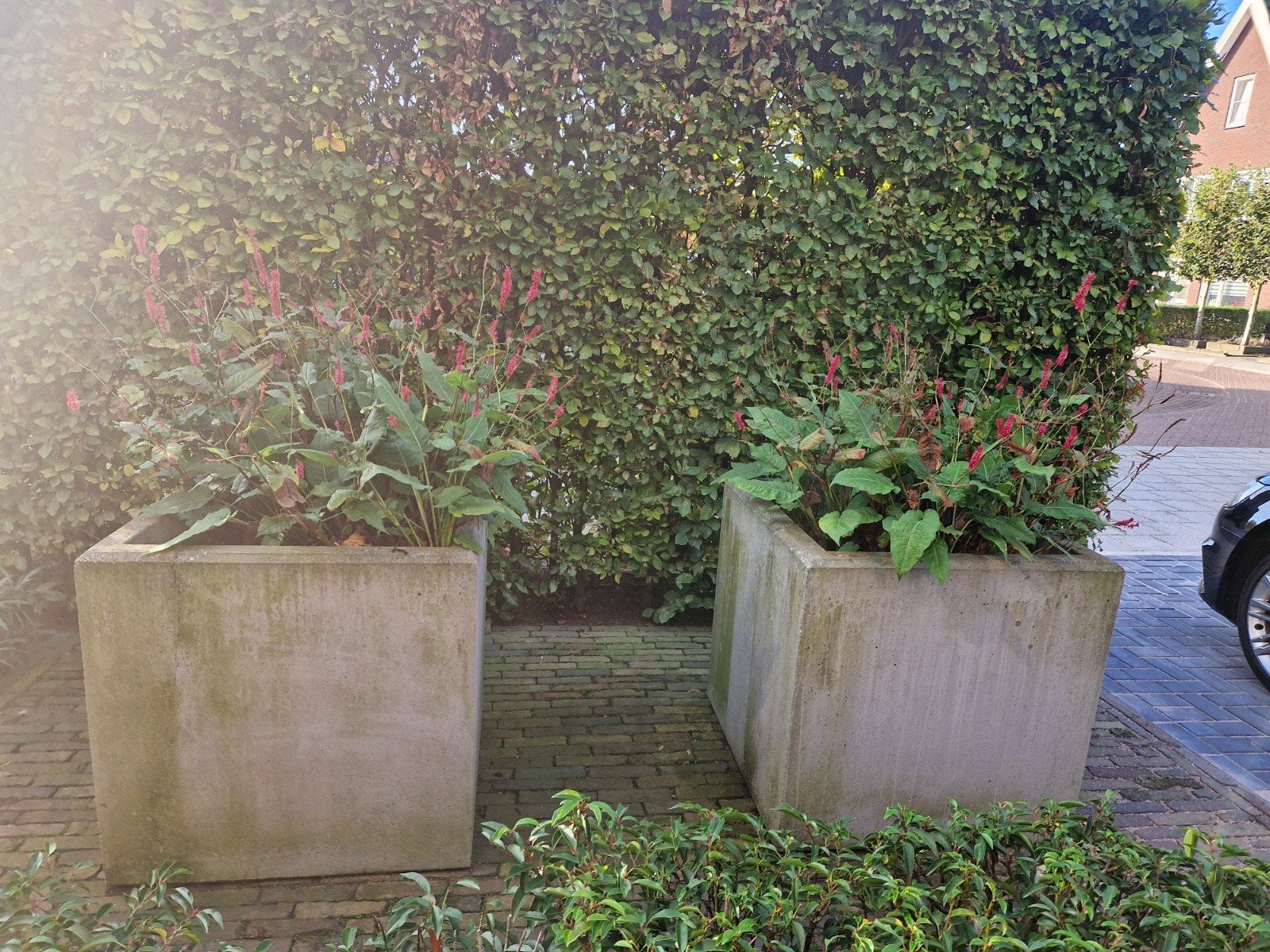 bloembakken, Tuin en Terras, Ophalen, Vierkant