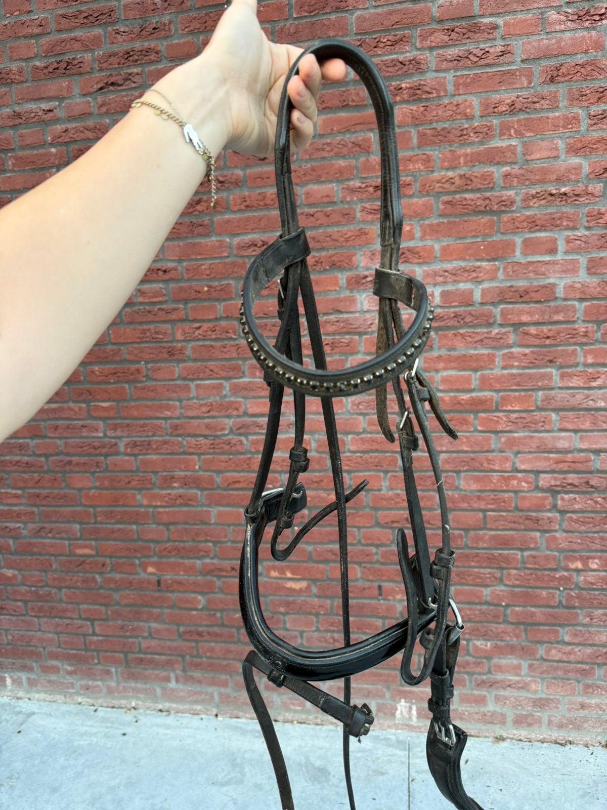 Pony hoofdstel gebruikt, Ophalen, Gebruikt