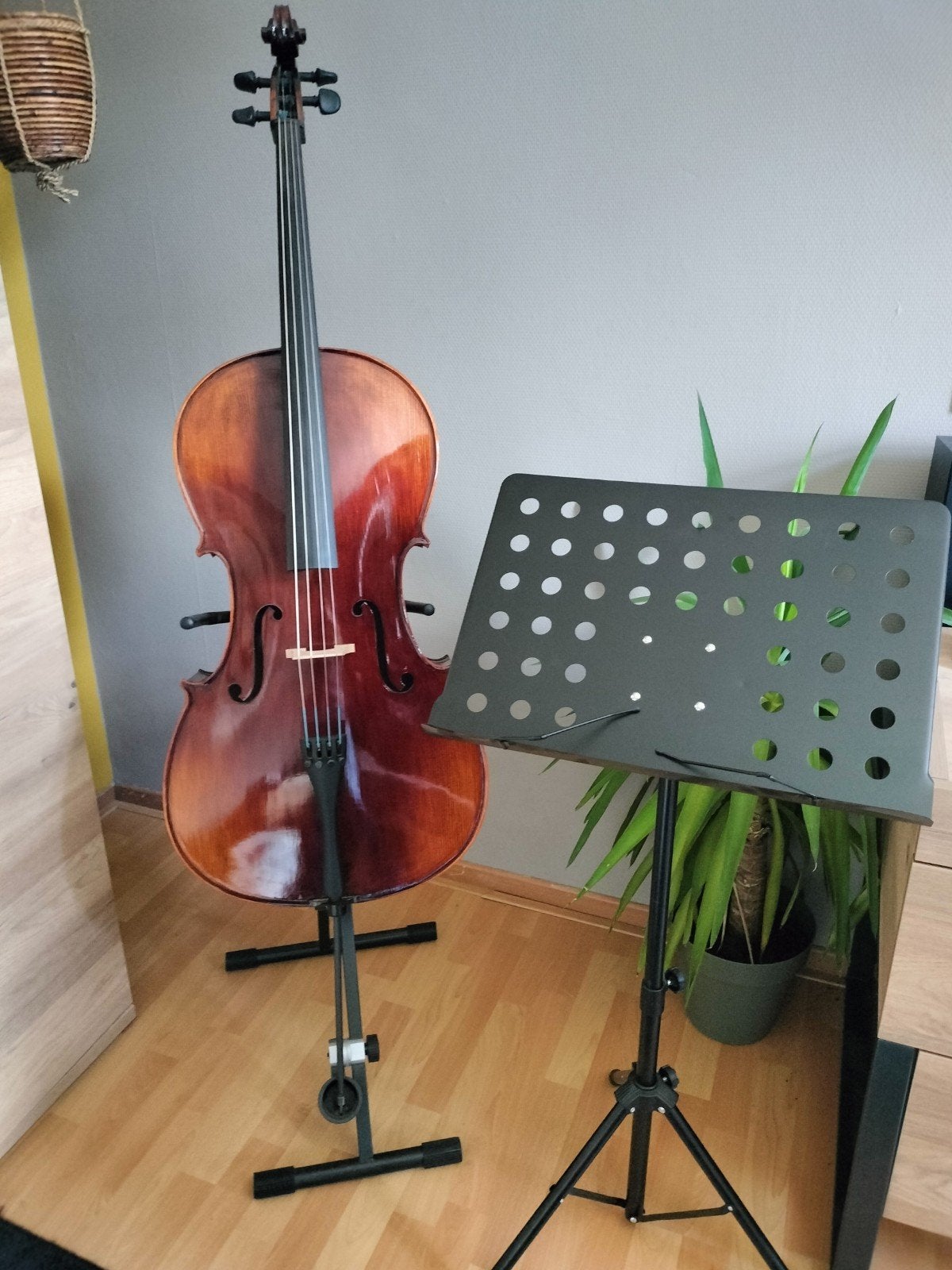 cello 4/4 complete set, beginners en gevorderd, goede bouwer, Muziek en Instrumenten, Standaards, Ophalen, Zo goed als nieuw, Gitaar
