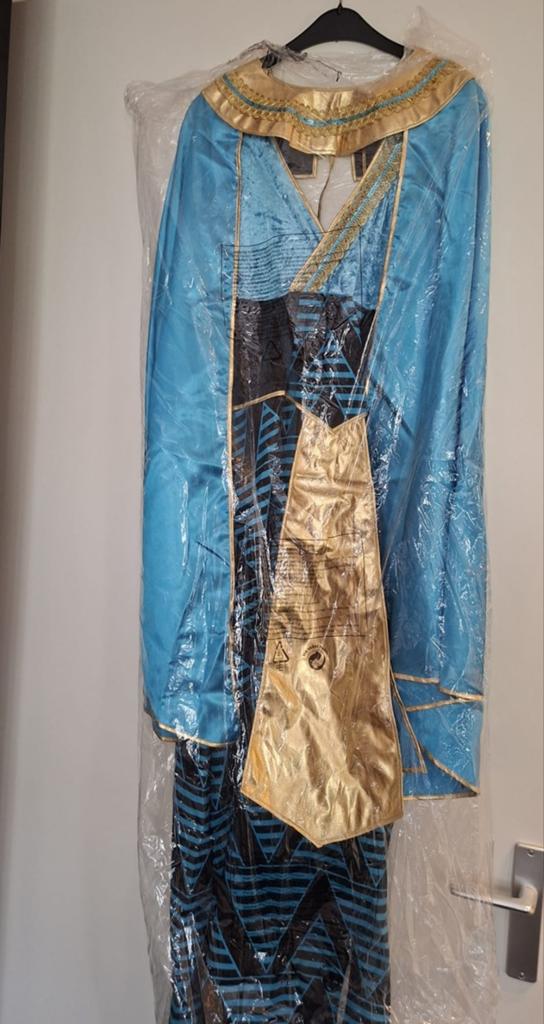 Themafeest Kleding: Egypte en Jaren '70 Outfits, Ophalen