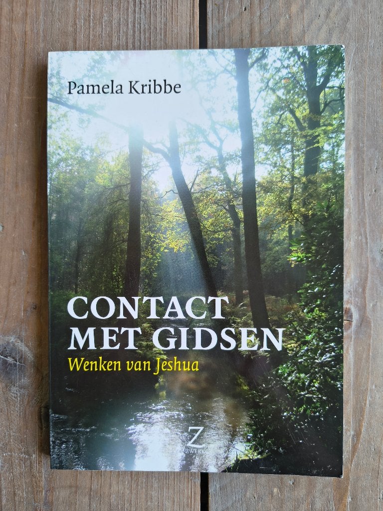 Contact met gidsen - Wenken van Jeshua - 9789077478295, Boeken, Gelezen, Achtergrond en Informatie, Spiritualiteit algemeen, Ophalen of Verzenden