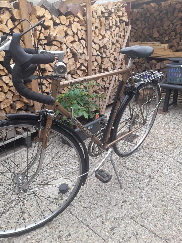 Batavus city racefiets Type Sprint., Ophalen, Gebruikt, Batavus, Versnellingen