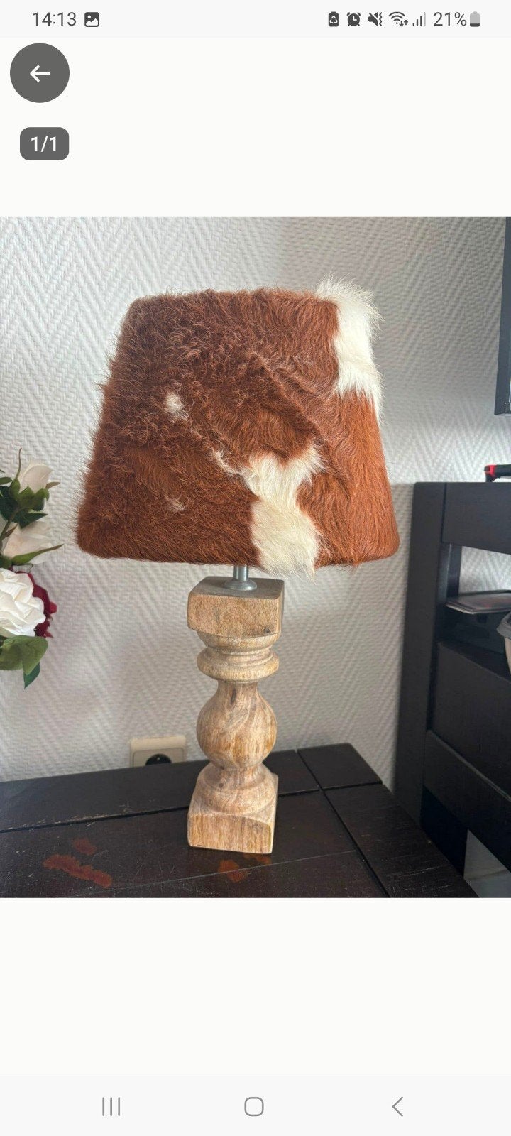 leuke lamp afh baarle hertog, Ophalen