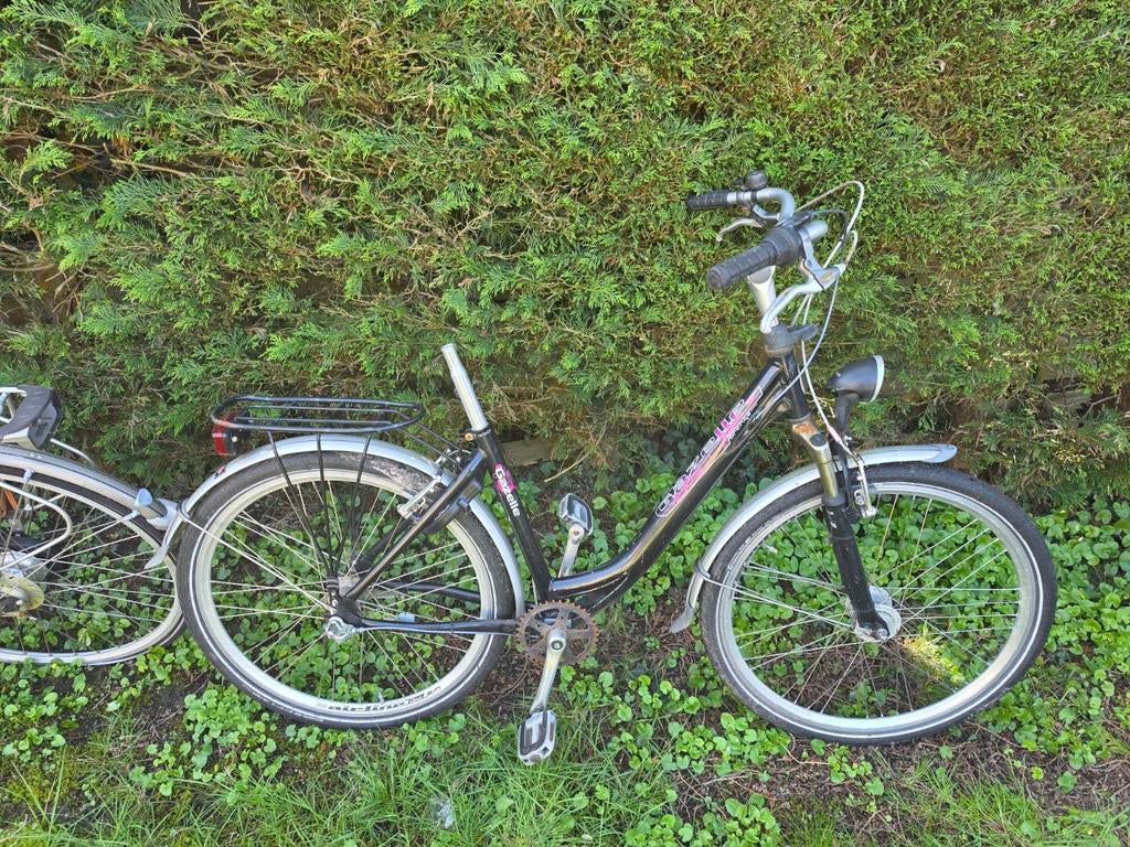 3 opknap damesfietsen, Fietsen en Brommers, Fietsen | Dames | Sportfietsen en Toerfietsen, Minder dan 10 versnellingen, Gebruikt