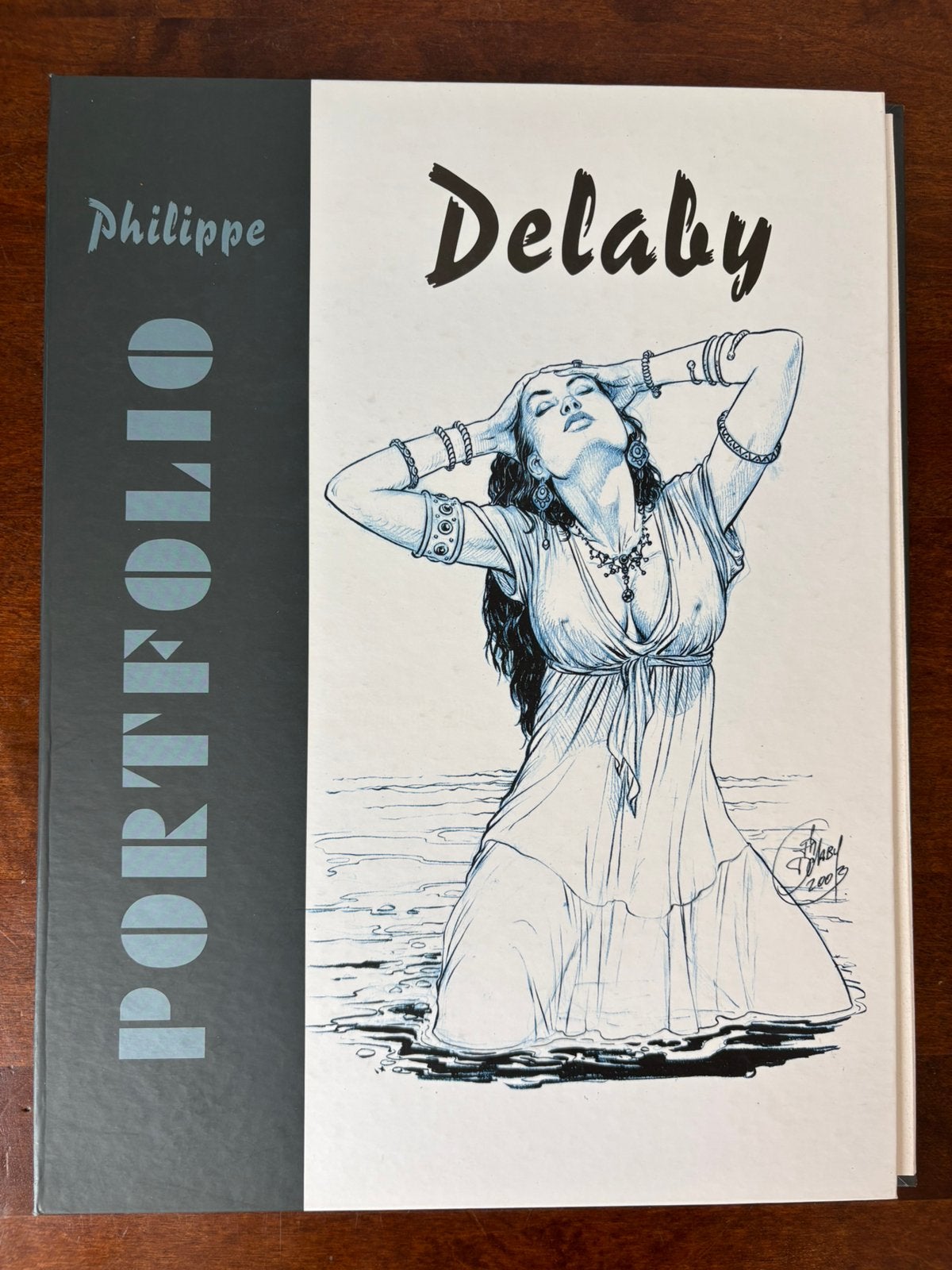 Portfolio Philippe Delaby met prenten van naakte vrouwen, Ophalen of Verzenden, Overige figuren, Zo goed als nieuw, Plaatje, Poster of Sticker