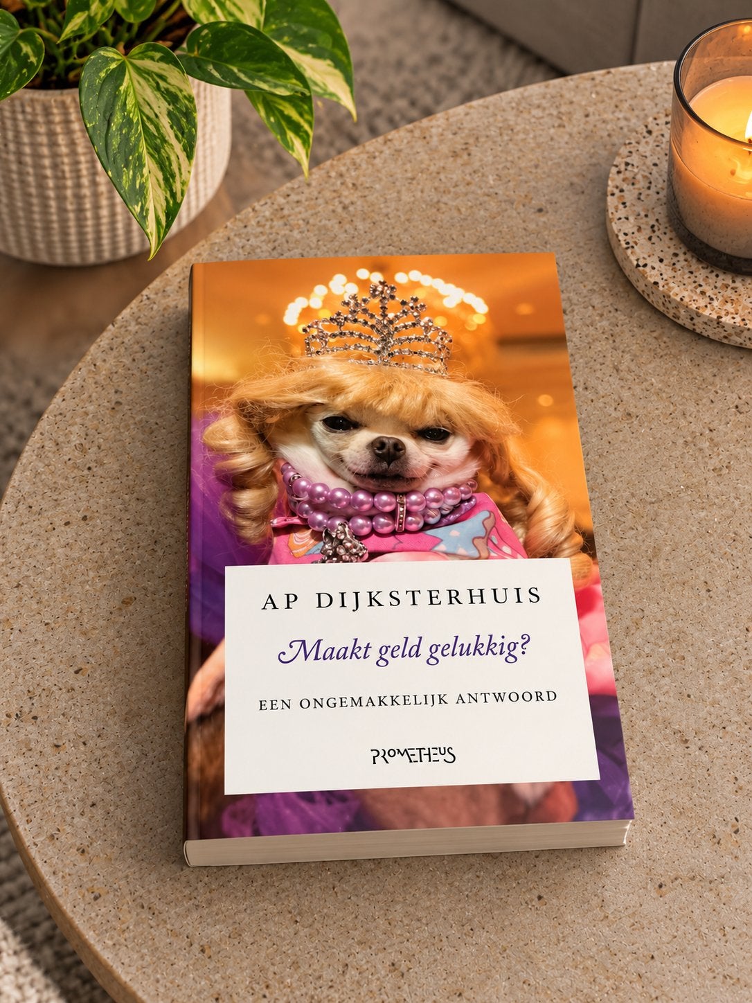 Maakt geld gelukkig? - Ap Dijksterhuis, Ophalen of Verzenden, Gelezen, Sociale psychologie