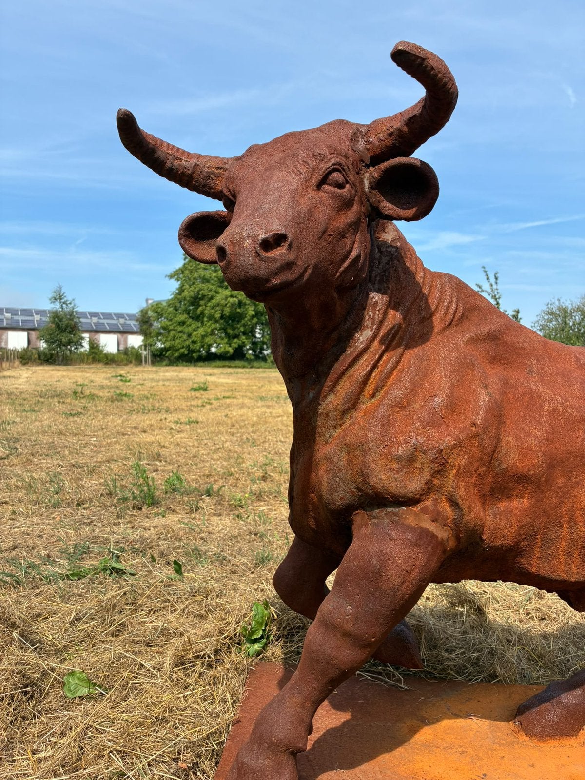 Grote gietijzeren stier - Roestlook, Ophalen, Nieuw, Metaal, Dierenbeeld