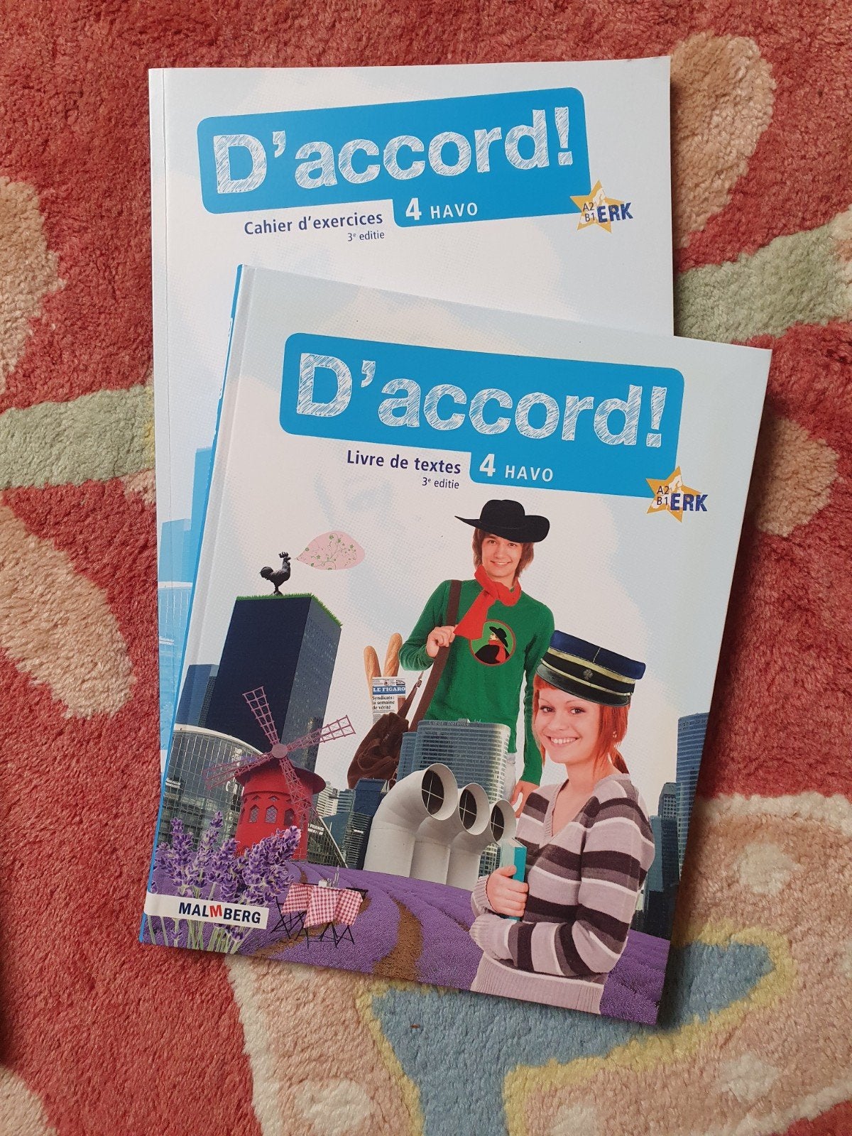 Franse lesboeken D'Accord 4 Havo, Boeken, Frans, Malmberg, Ophalen of Verzenden, HAVO