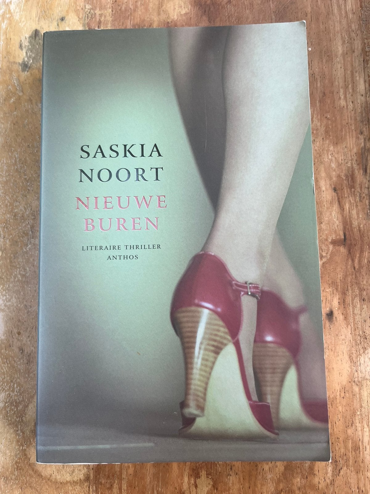 Nieuwe buren, Saskia Noort, Boeken, Ophalen of Verzenden, Gelezen