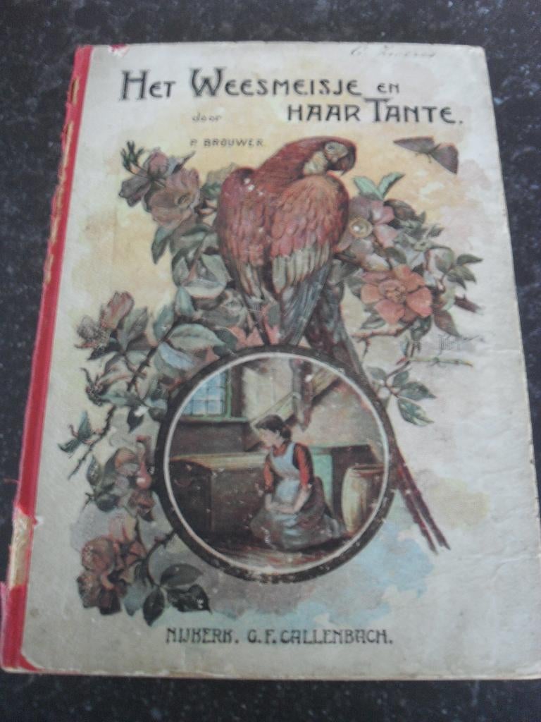 Het weesmeisje en haar tante p.brouwer, Ophalen of Verzenden, Gelezen