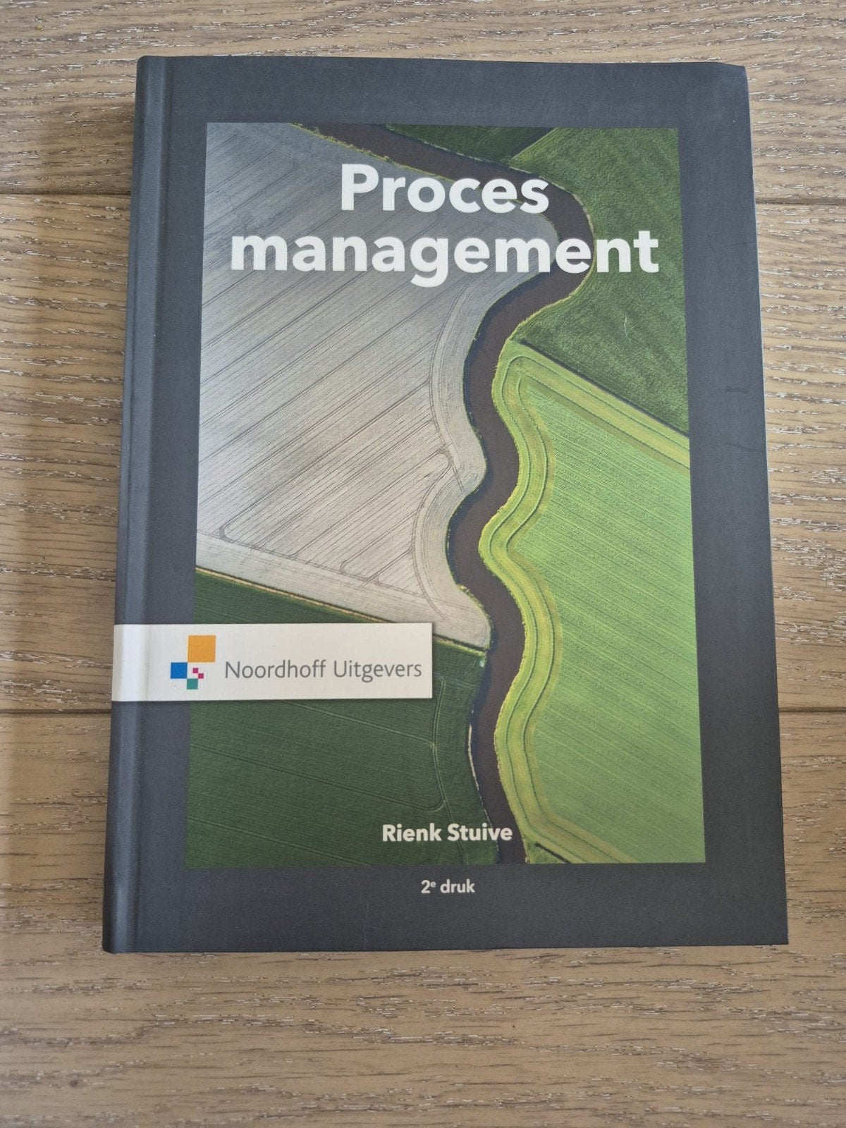 Rienk Stuive - Procesmanagement, Sociale wetenschap, Rienk Stuive, Ophalen of Verzenden, Zo goed als nieuw