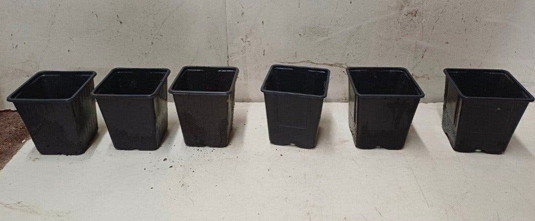 diverse kweekpotten plantenpotten bloempotten p9 9x9x10 cm, Kunststof, Gebruikt, Minder dan 30 cm, Vierkant