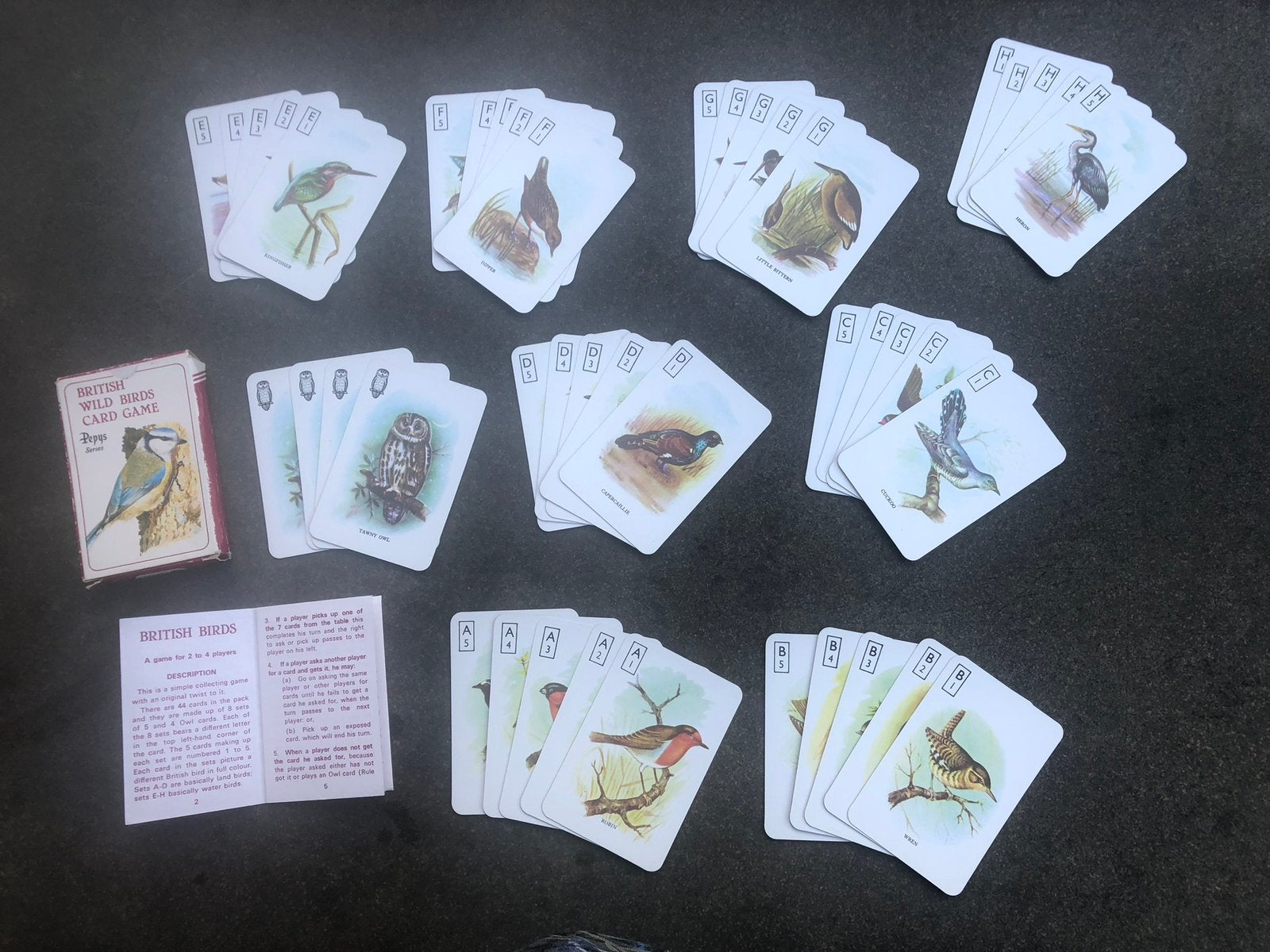 Nieuw kwartet spel met vogels, Ophalen of Verzenden, Nieuw, Kwartet(ten)
