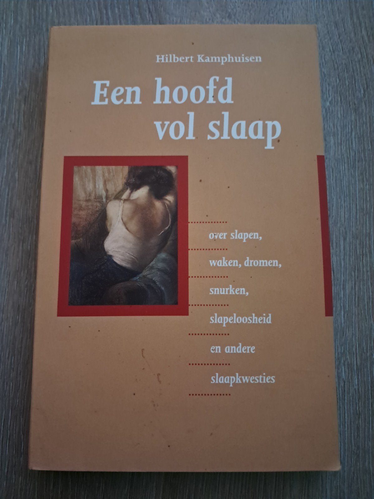 K8 Een hoofd vol slaap - Hilbert Kamphuisen, Ophalen of Verzenden, Gelezen, Gezondheid en Conditie, Hilbert Kamphuisen