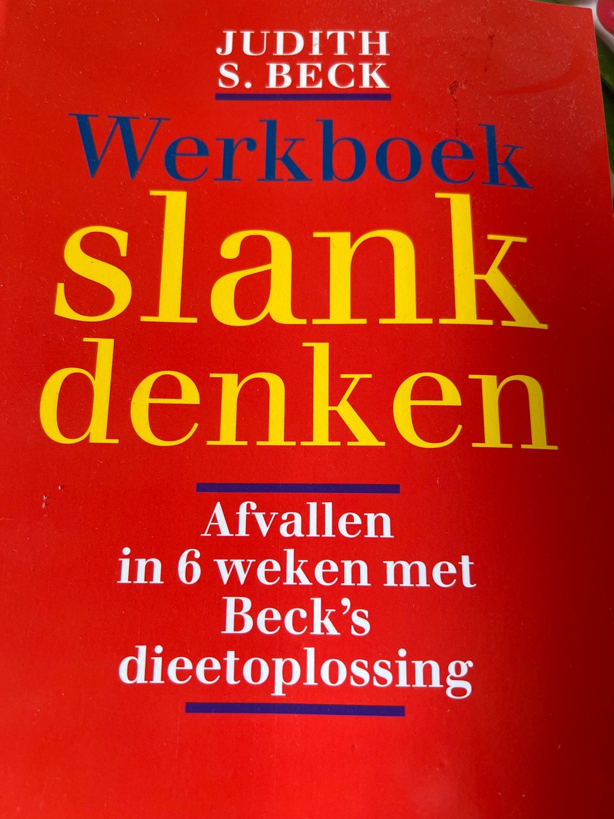 Werkboek Slank Denken - Afvallen in 6 weken, Ophalen of Verzenden, Gelezen, Dieet en Voeding