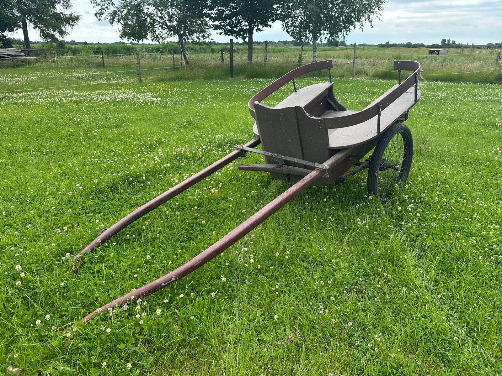 Ponykar, Gebruikt, Paard of Pony