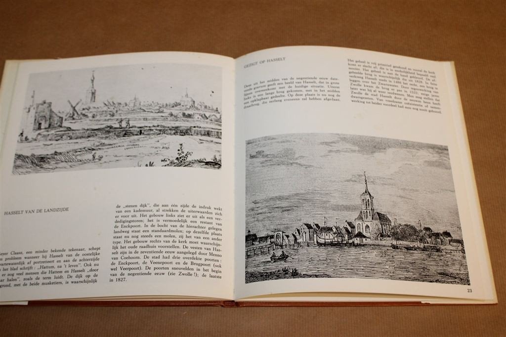 Terugblik op Salland — Catalogus Prenten en Schilderijen, Boeken, Geschiedenis | Stad en Regio, Ophalen of Verzenden, Gelezen