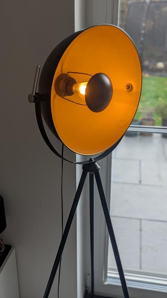 Schemerlamp met Dimmer en Philips Hue Edison lamp, Ophalen, Modern, Industrieel, 100 tot 150 cm, Zo goed als nieuw