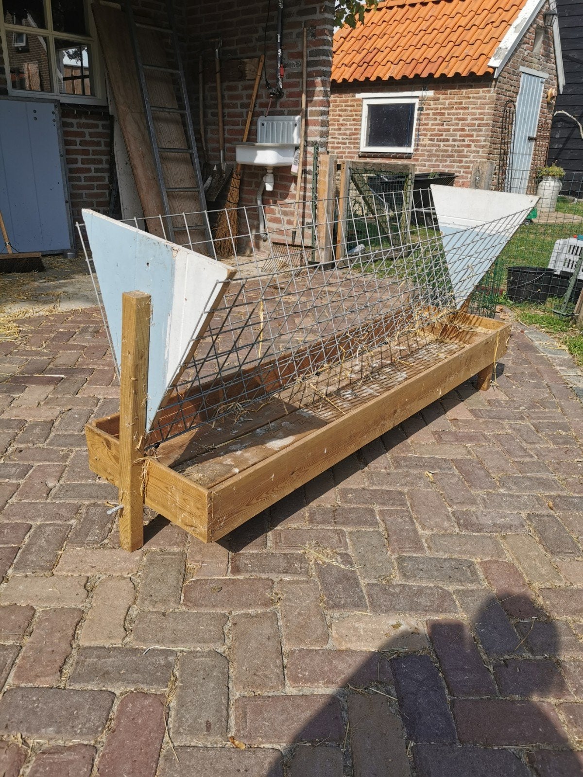 Hooiruif, Dieren en Toebehoren, Meerdere dieren, Schaap