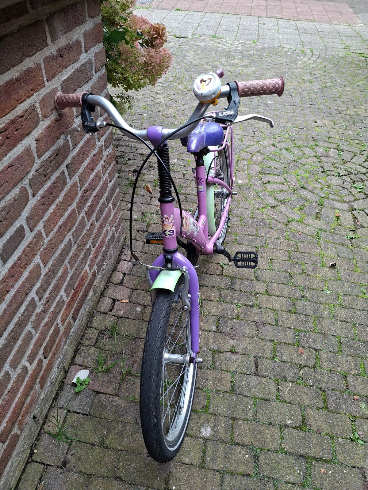 meisjesfiets 20 inch, Ophalen, Gebruikt, 20 inch
