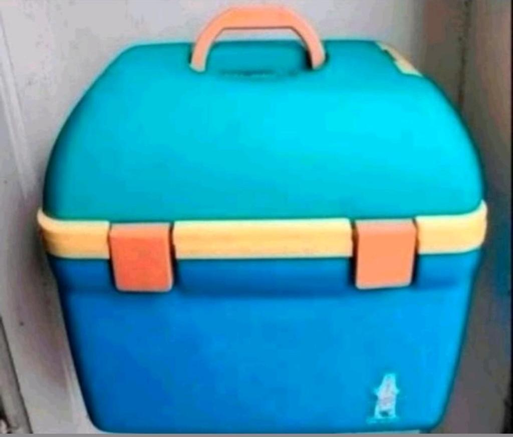 Goedwerkende Frigobox met Koel/Warm Functie., Caravans en Kamperen, Koelboxen, Ophalen of Verzenden, Koeltas, Koelelement
