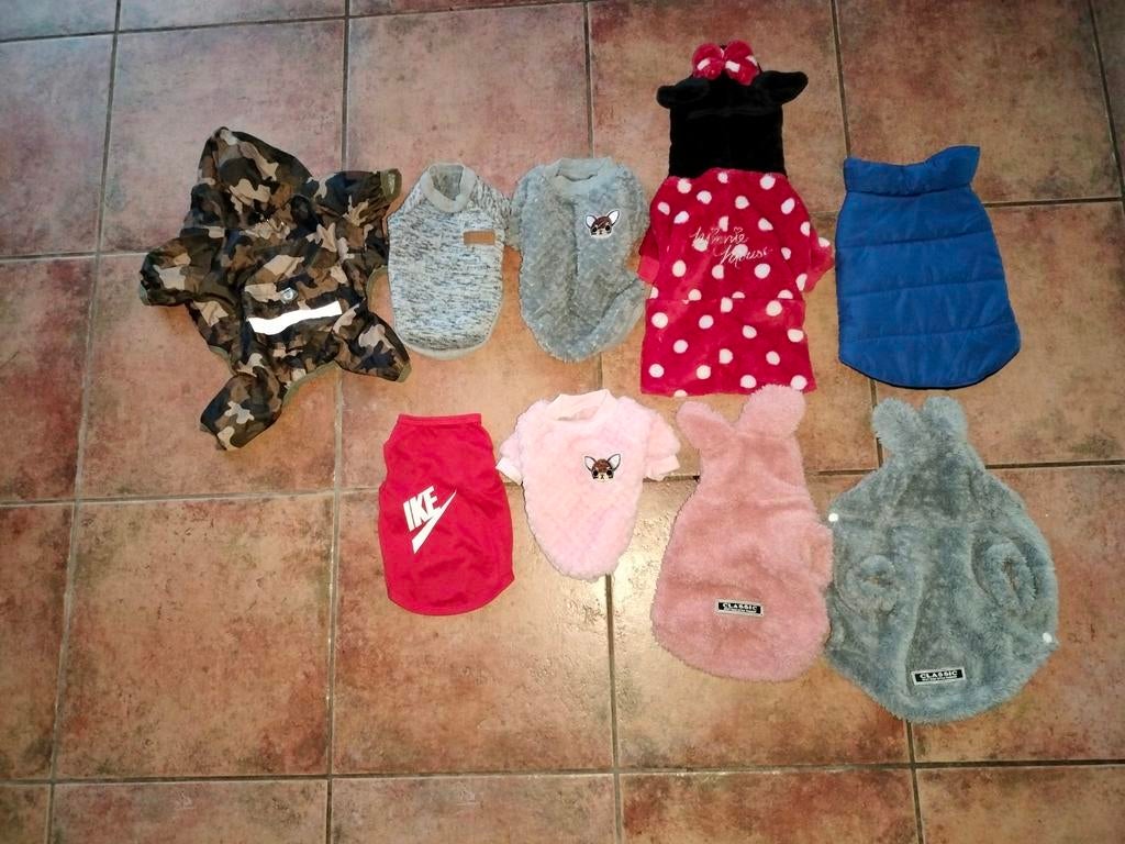 honden kleding maat s-m 2-3,5kg 10€, Ophalen, Zo goed als nieuw