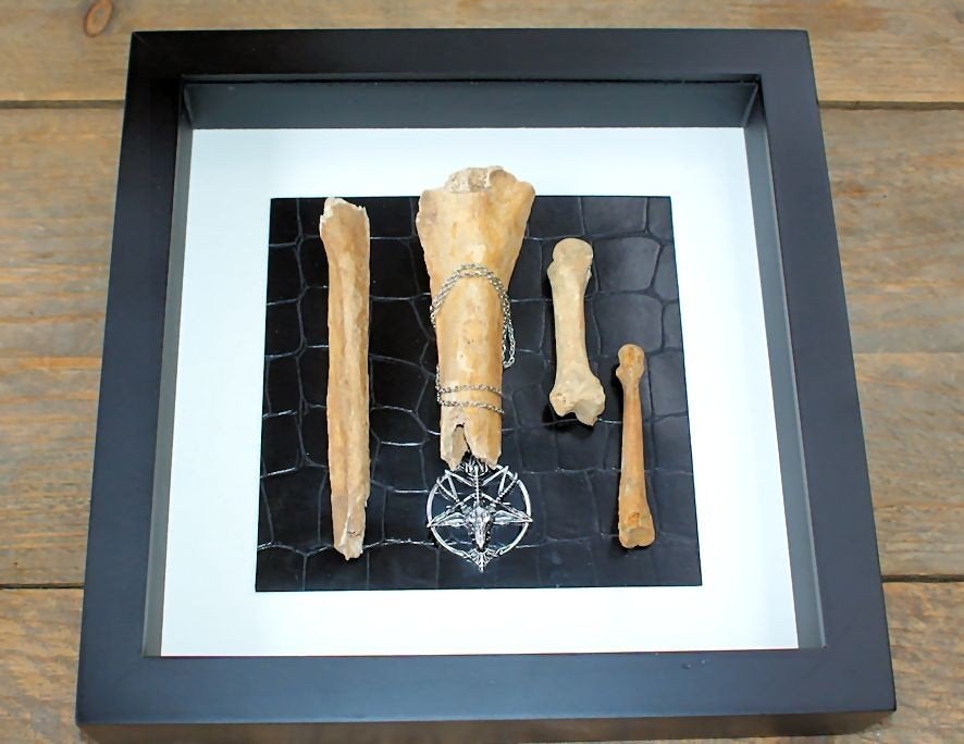 Ingelijste Menselijke botten + Baphomet, Antiek en Kunst, Ophalen of Verzenden