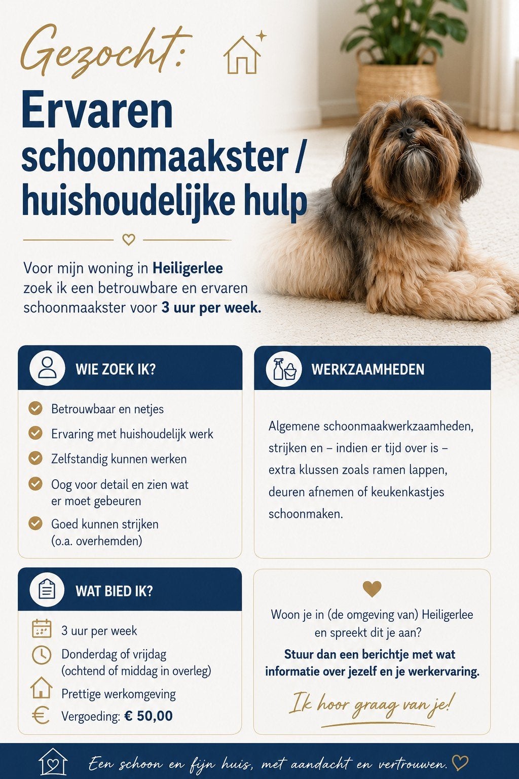 Gezocht: Ervaren Schoonmaakster omgeving Heiligerlee, Vanaf 10 jaar, Overige vormen