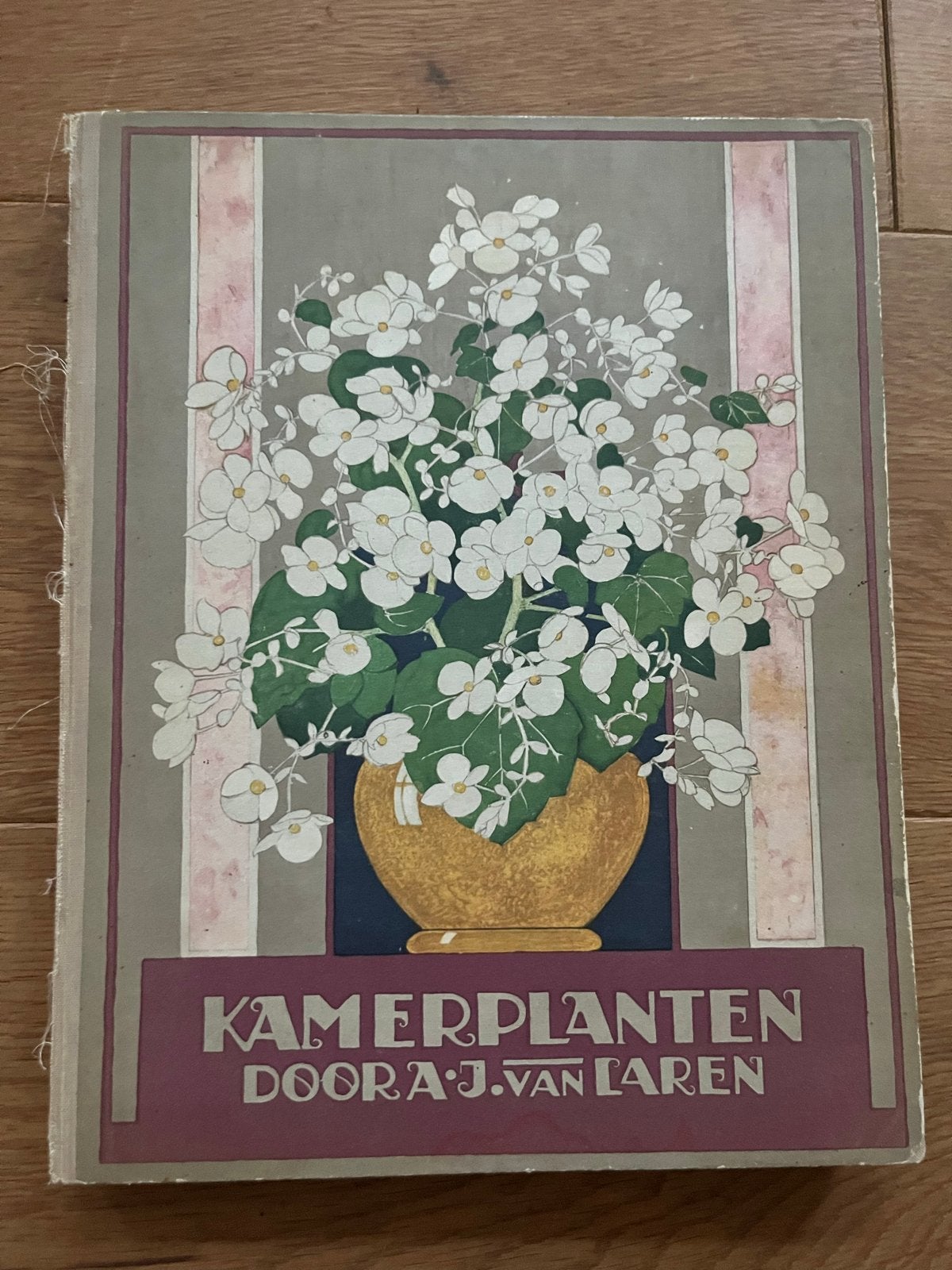 Verkade Album Kamerplanten 1928 - Compleet met Plaatjes, Ophalen of Verzenden, Gelezen, Plaatjesalbum