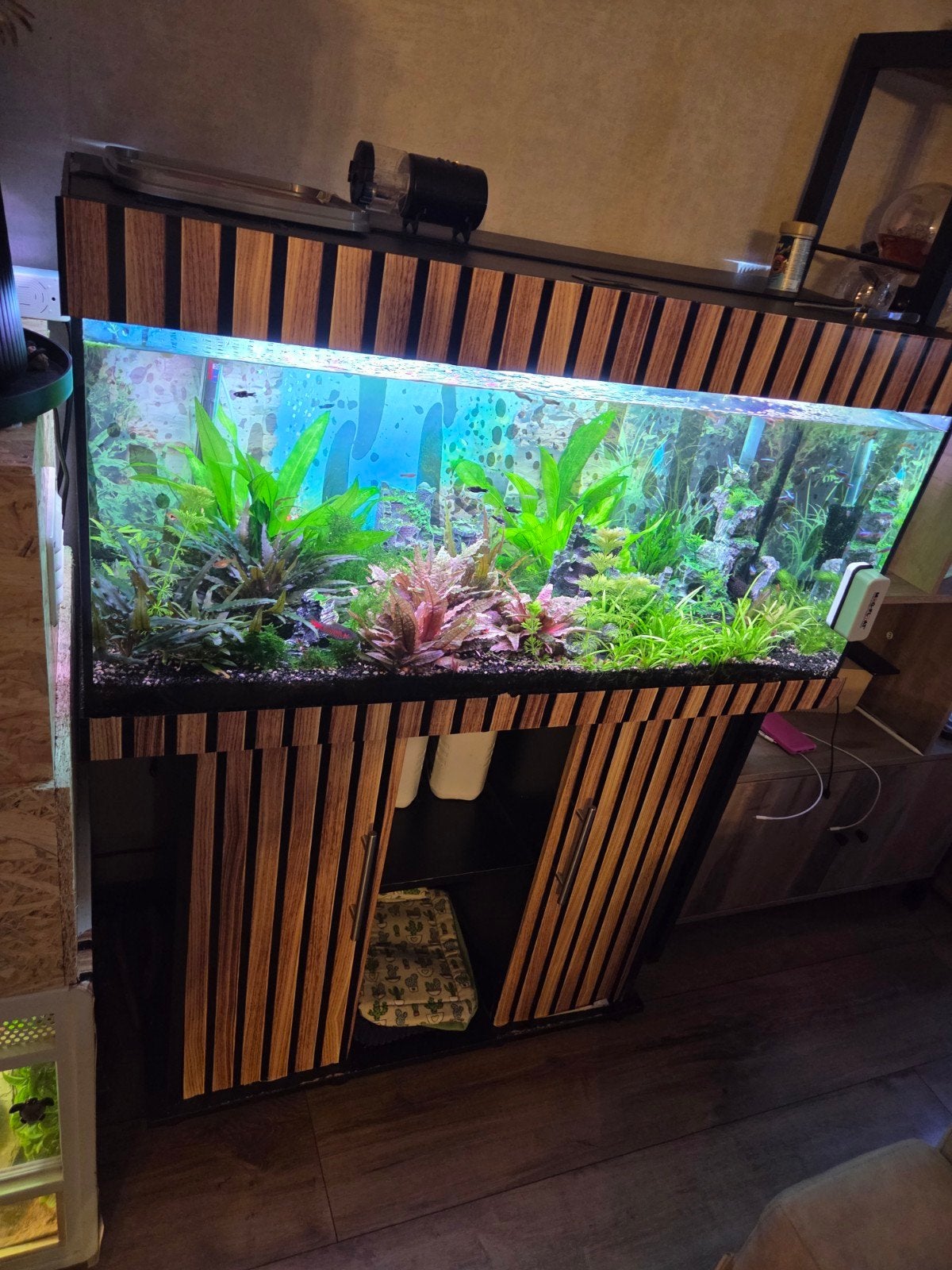 Mooie aquarium, Dieren en Toebehoren, Vissen | Aquaria en Toebehoren, Ophalen of Verzenden, Leeg aquarium