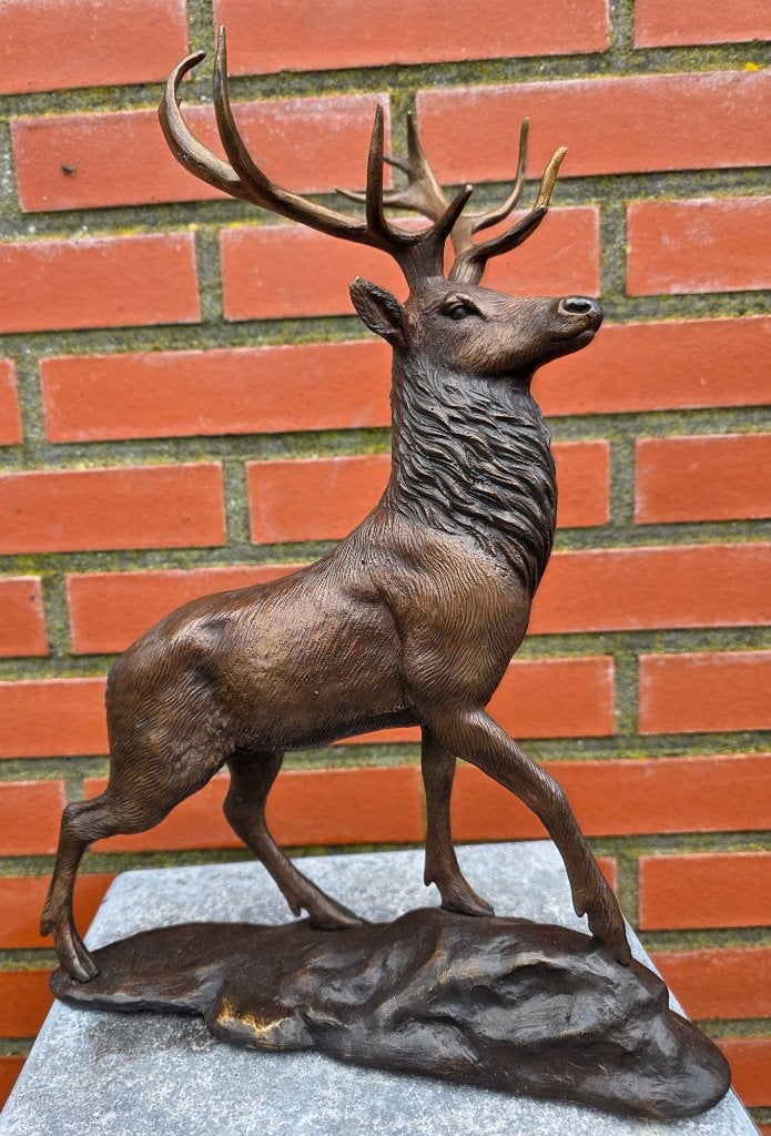 bronzen beeld / HERT/ 36 cm hoog / EDELHERT, Ophalen of Verzenden, Nieuw, Hert, Beeldje of Figuurtje