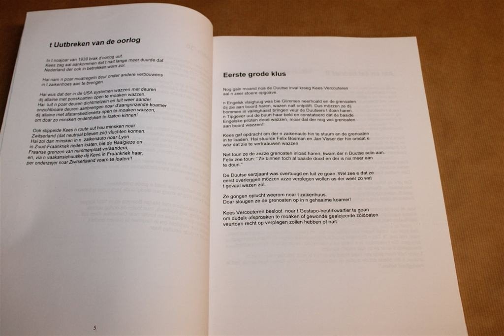 Grunnen in Oorlogstied — Groningse Herinneringen [1945], Ophalen of Verzenden, Gelezen