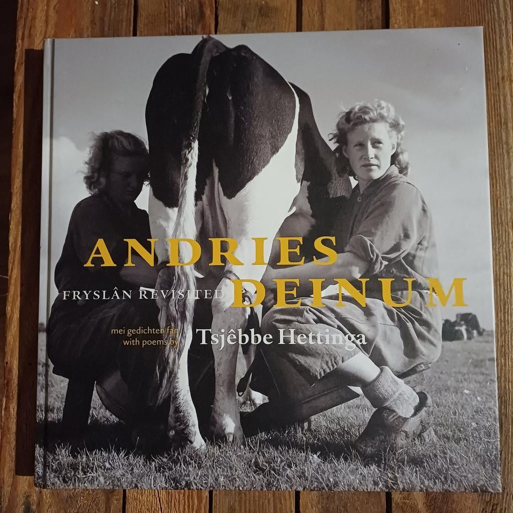 Andries Deinum: Fryslân Revisited, Ophalen of Verzenden