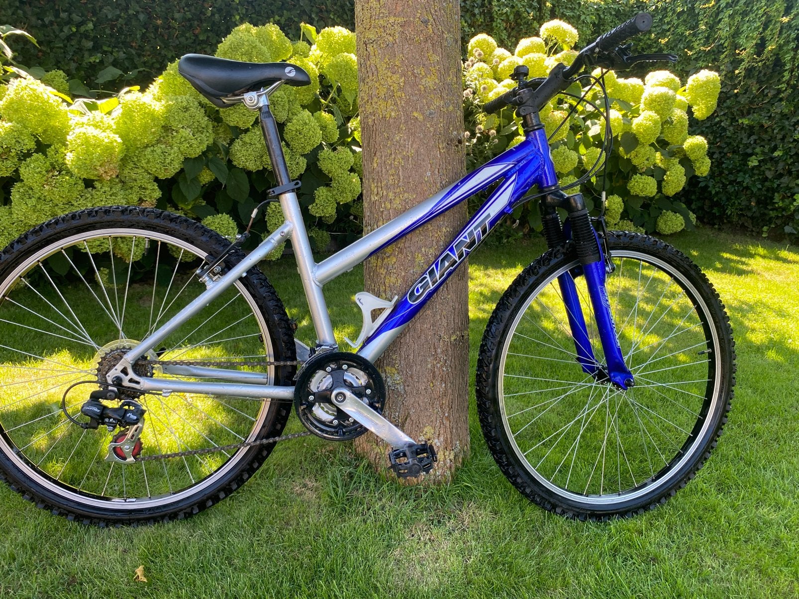 Te koop Giant meiden mtb, Ophalen, Gebruikt, 26 inch, 10 tot 15 versnellingen