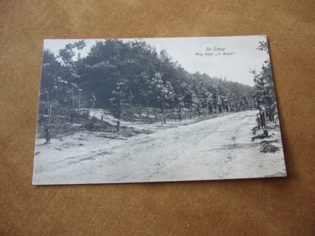 DE STEEG  =  WEG NAAR T, ASSELT, Verzamelen, Ansichtkaarten | Nederland, Ophalen of Verzenden, 1920 tot 1940, Gelopen, Gelderland