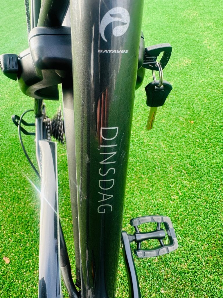 Batavus dinsdag damesfiets 53cm toerfiets citybike, Niet ingevuld, Minder dan 30 km per accu, Ophalen of Verzenden, Zo goed als nieuw