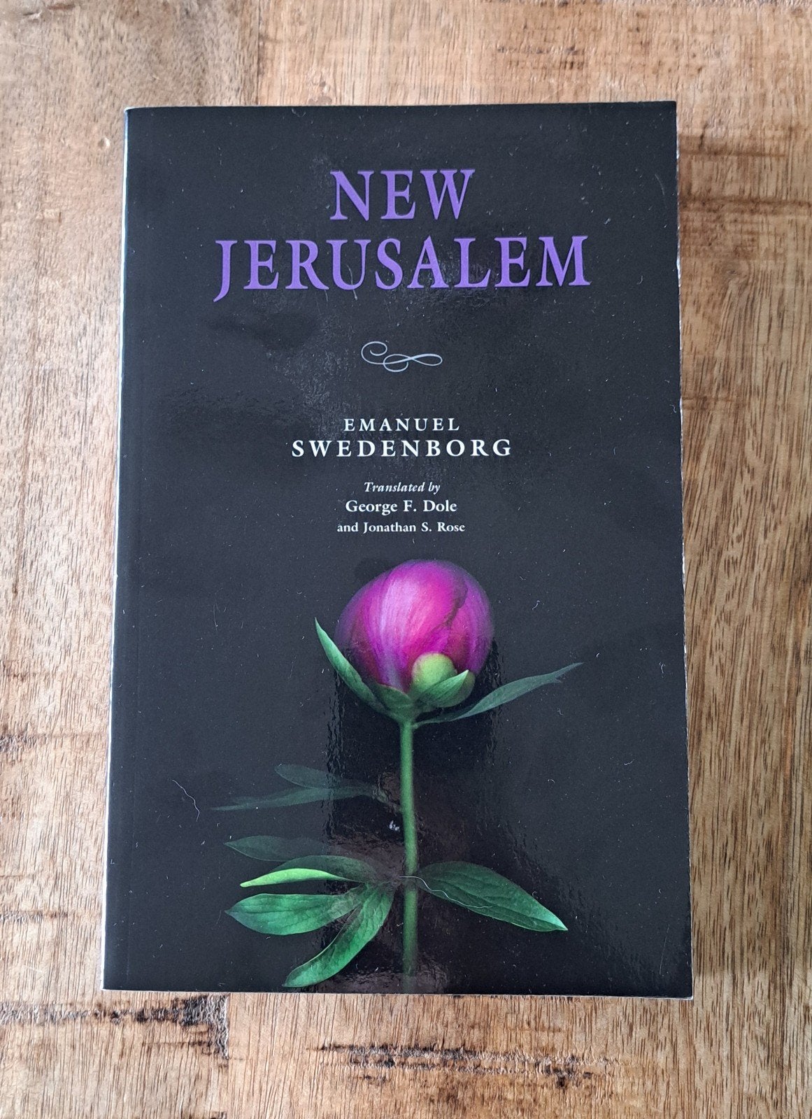 New Jerusalem – Emanuel Swedenborg, Boeken, Ophalen of Verzenden, Zo goed als nieuw, Spiritualiteit algemeen, Achtergrond en Informatie