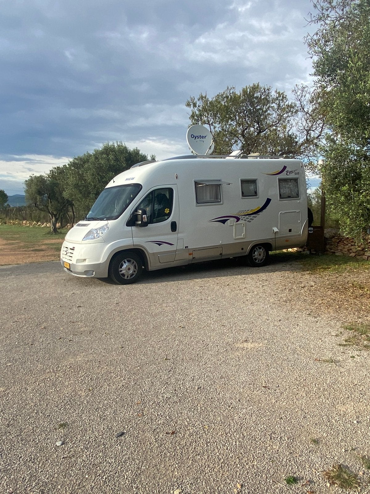Maess 650 intergraal Automaat, Caravans en Kamperen, Campers, Particulier, tot en met 4, Integraal, Diesel, Automaat, Rondzit